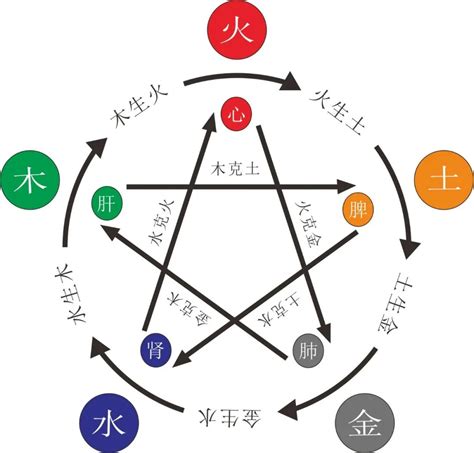 命中缺木|命中五行缺木的人怎么办 八字五行缺木怎么补